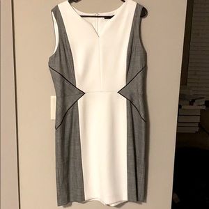 NWOT never worn Antonio Melani professional dress